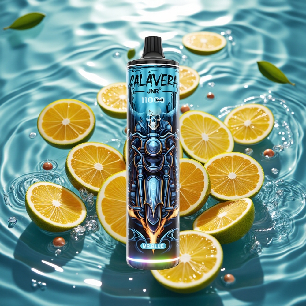 JNR Calavera 11000 Puffs Tipo-C 850mAh 21ml 1.0ohm Azul Sr Disposable Vape JNR Calavera 11000 Puffs Tipo-C 850mAh 21ml 1.0ohm Azul Sr Disposable Vape