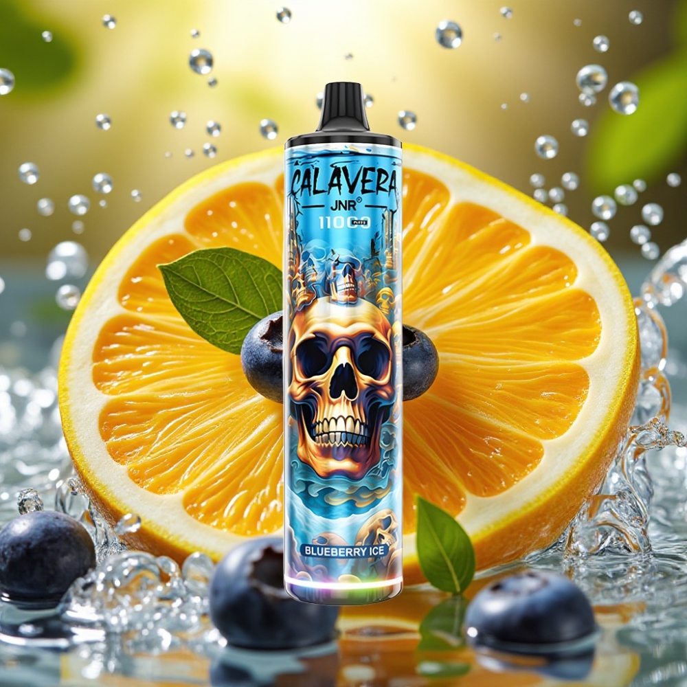 JNR Calavera 11000 Puffs Tipo-C 850mAh 21ml 1.0ohm Mirtelo Gelo Disposable Vape JNR Calavera 11000 Puffs Tipo-C 850mAh 21ml 1.0ohm Mirtelo Gelo Disposable Vape