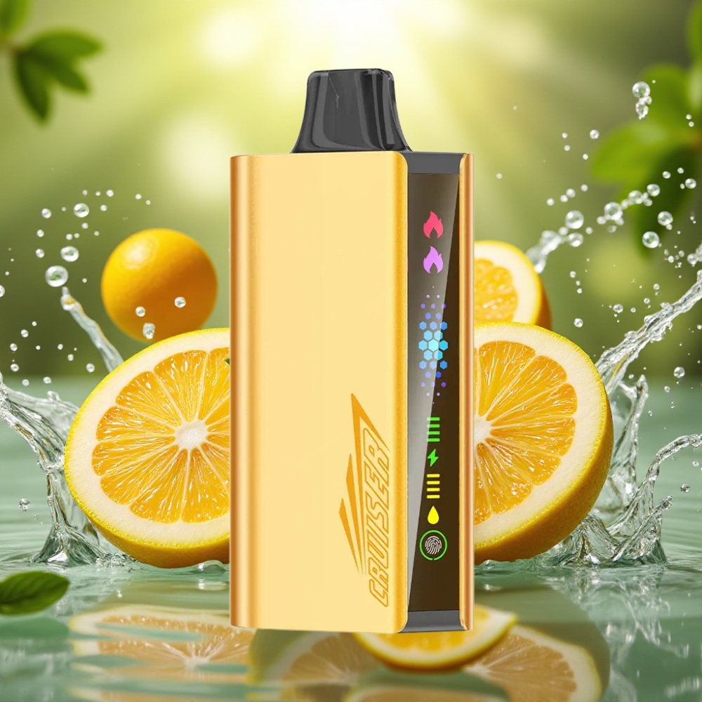 JNR Cruiser 12000 Puffs Sem Recarga Vape Alumínio Toque Digital Tela Animada Menta Fresca