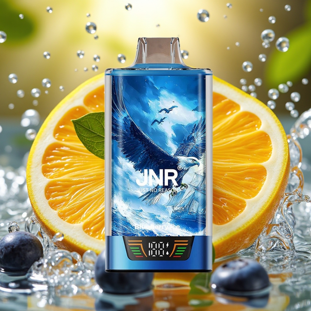 JNR Falcon Pro 28000 30ml 5% Nic Dual Mesh USB-C MTL Blueberry Ice JNR Falcon Pro 28000 30ml 5% Nic Dual Mesh USB-C MTL Blueberry Ice