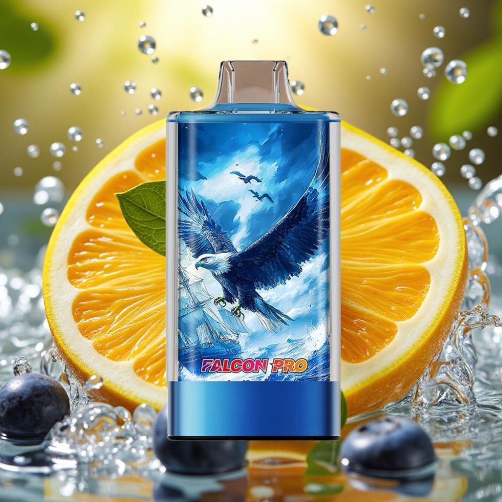 JNR Falcon Pro 28000 30ml 5% Nic Dual Mesh USB-C MTL Blueberry Ice