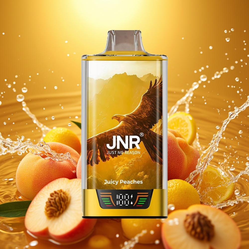 JNR Falcon Pro 28000 30ml 5% Nic Dual Mesh USB-C MTL Pêssegos Suculentos JNR Falcon Pro 28000 30ml 5% Nic Dual Mesh USB-C MTL Pêssegos Suculentos