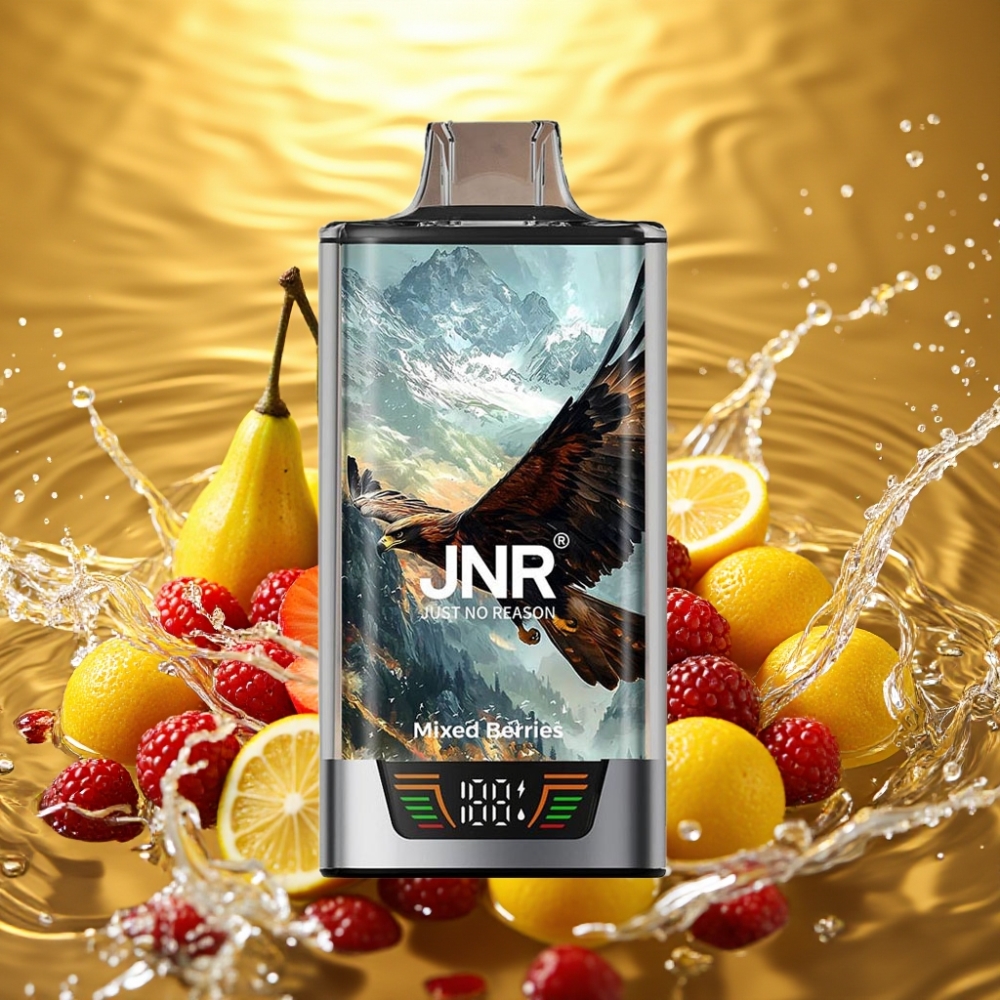 JNR Falcon Pro 28000 Disposable Vape Mirtilos Misturados 30ml 950mAh 5% Nicotina Tela Inteligente Dual Mesh USB-C MTL