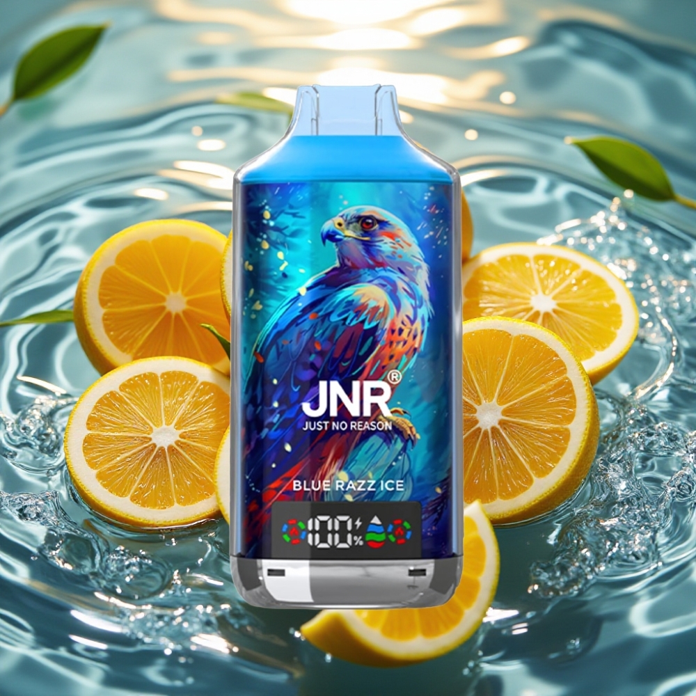 JNR Falcon X 18000 Puffs 750mAh 24ml Dual Mesh Coil Digital Display Type-C Azul Framboesa Gelo