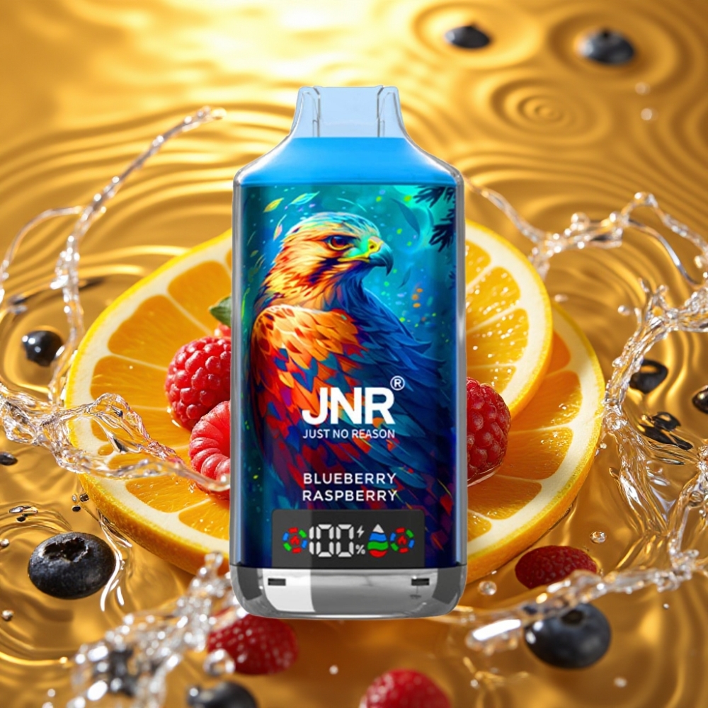 JNR Falcon X 18000 Puffs 750mAh 24ml Dual Mesh Coil Digital Display Type-C Blueberry Framboesa