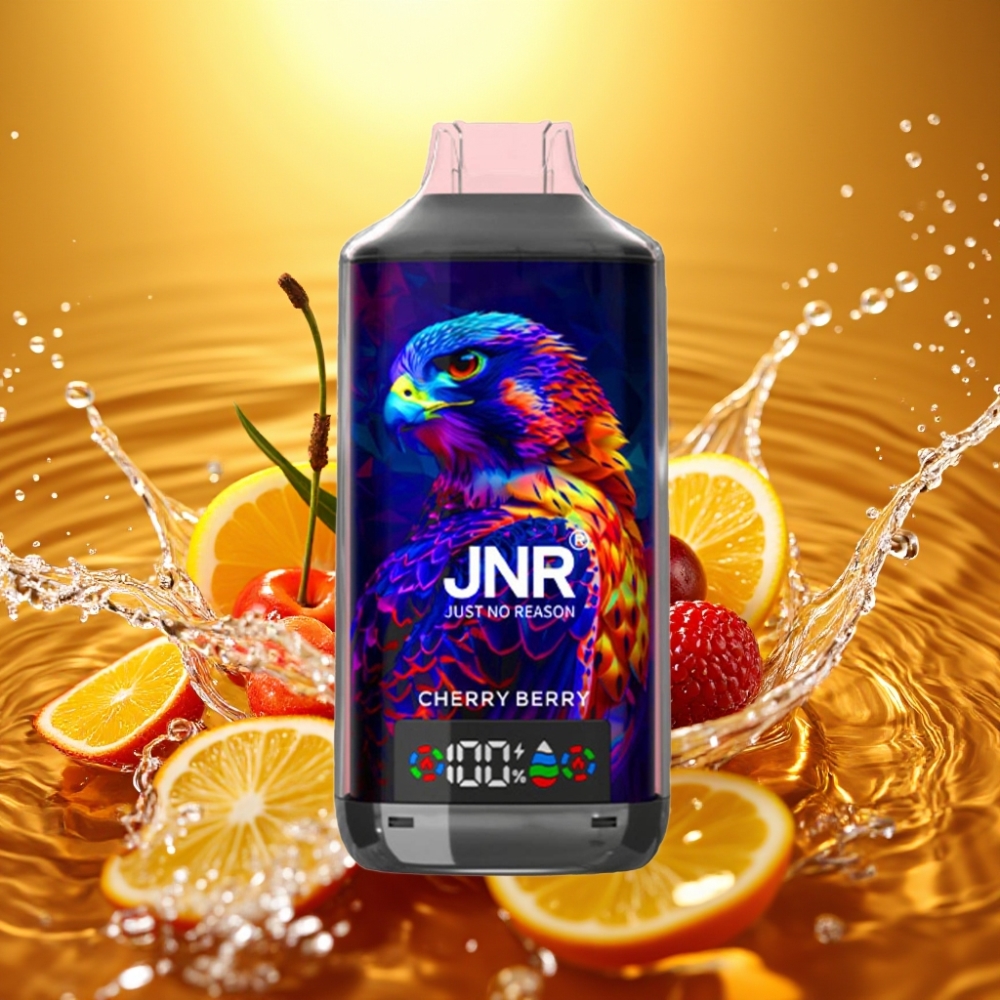 JNR Falcon X 18000 Puffs 750mAh 24ml Dual Mesh Coil Digital Display Type-C Cereja Frutas Silvestres