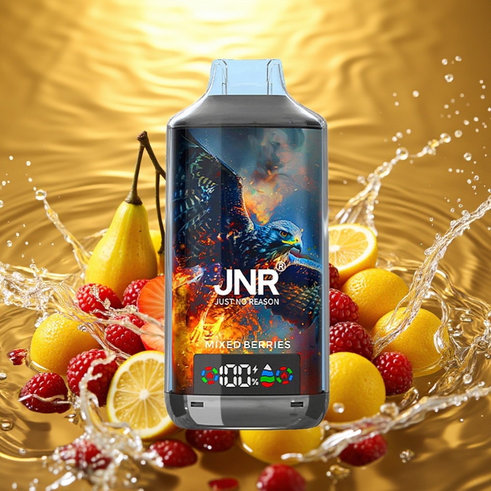 JNR Falcon X 18000 Puffs 750mAh 24ml Dual Mesh Coil Digital Display Type-C Frutas Silvestres