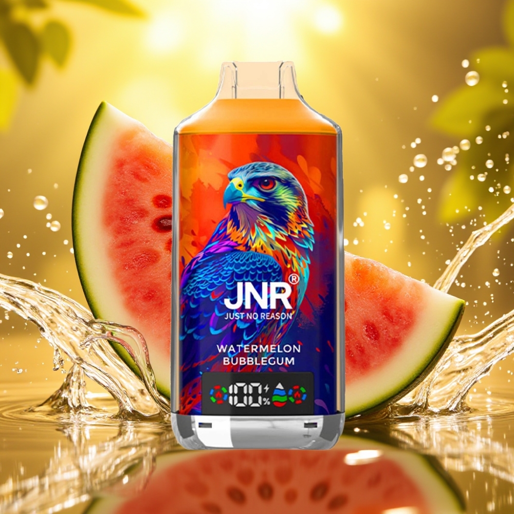 JNR Falcon X 18000 Puffs 750mAh 24ml Dual Mesh Coil Digital Display Type-C Melancia Chiclete