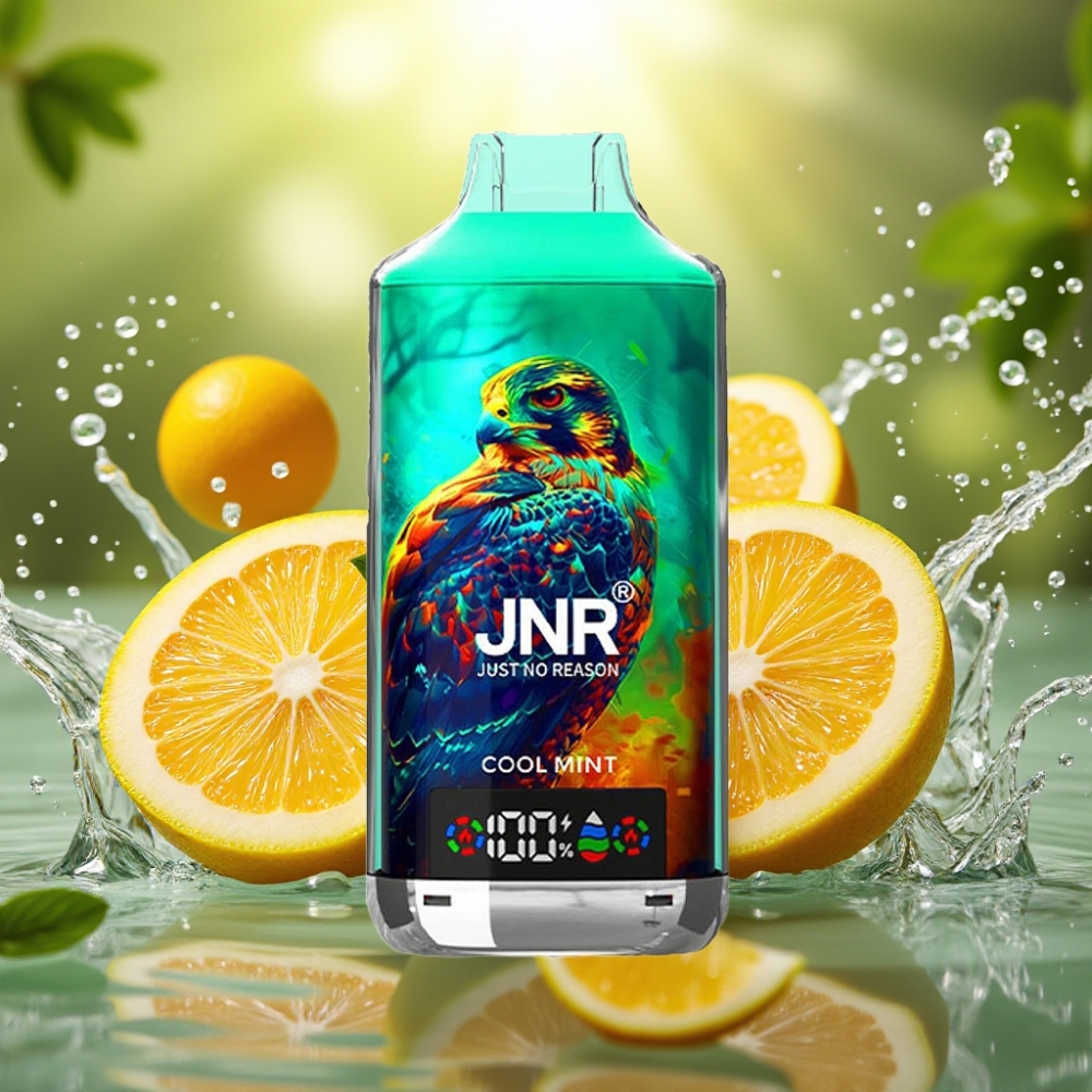 JNR Falcon X 18000 Puffs 750mAh 24ml Dual Mesh Coil Digital Display Type-C Menta Fresca