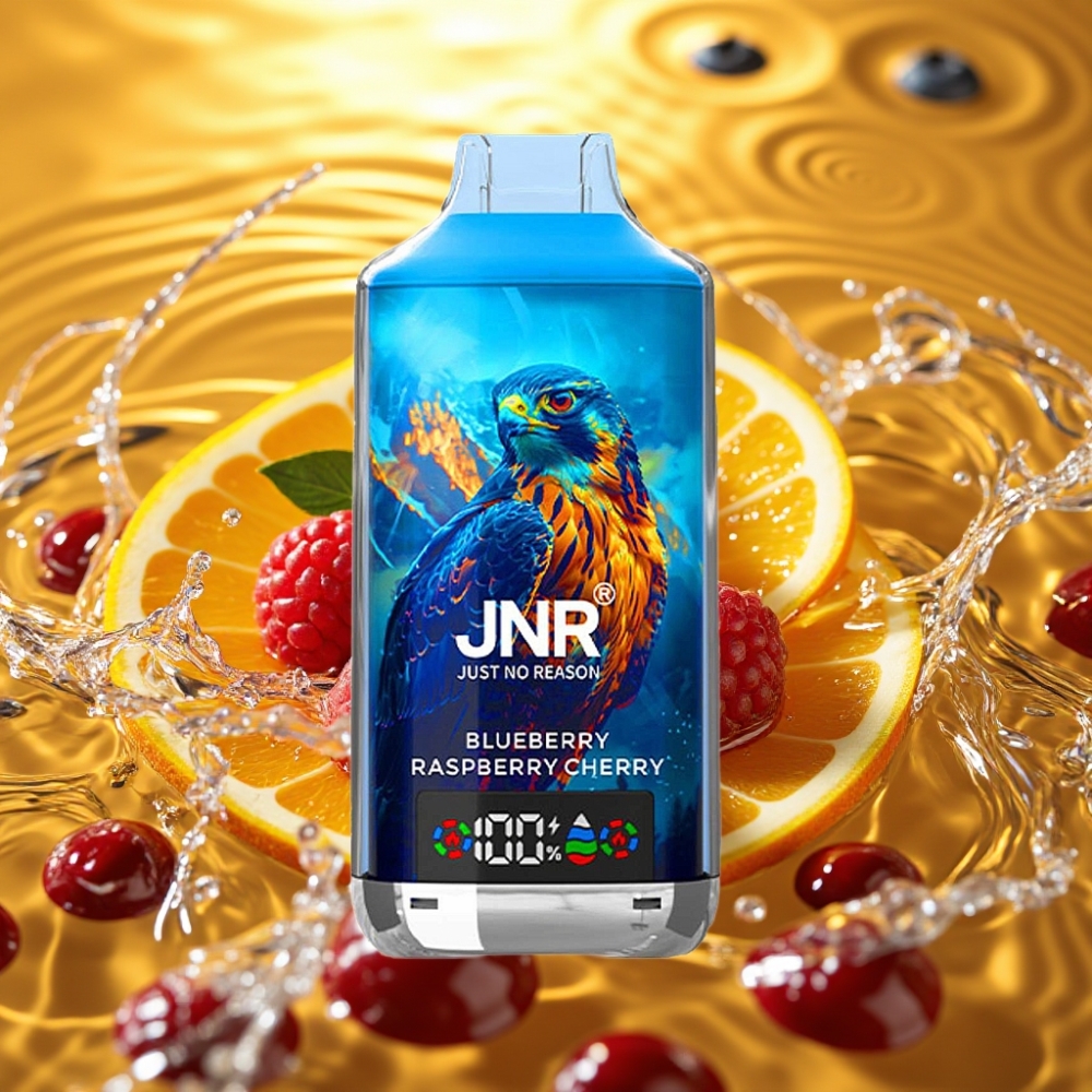 JNR Falcon X 18000 Puffs 750mAh 24ml Dual Mesh Coil Digital Display Type-C Mirtilo Framboesa Cereja