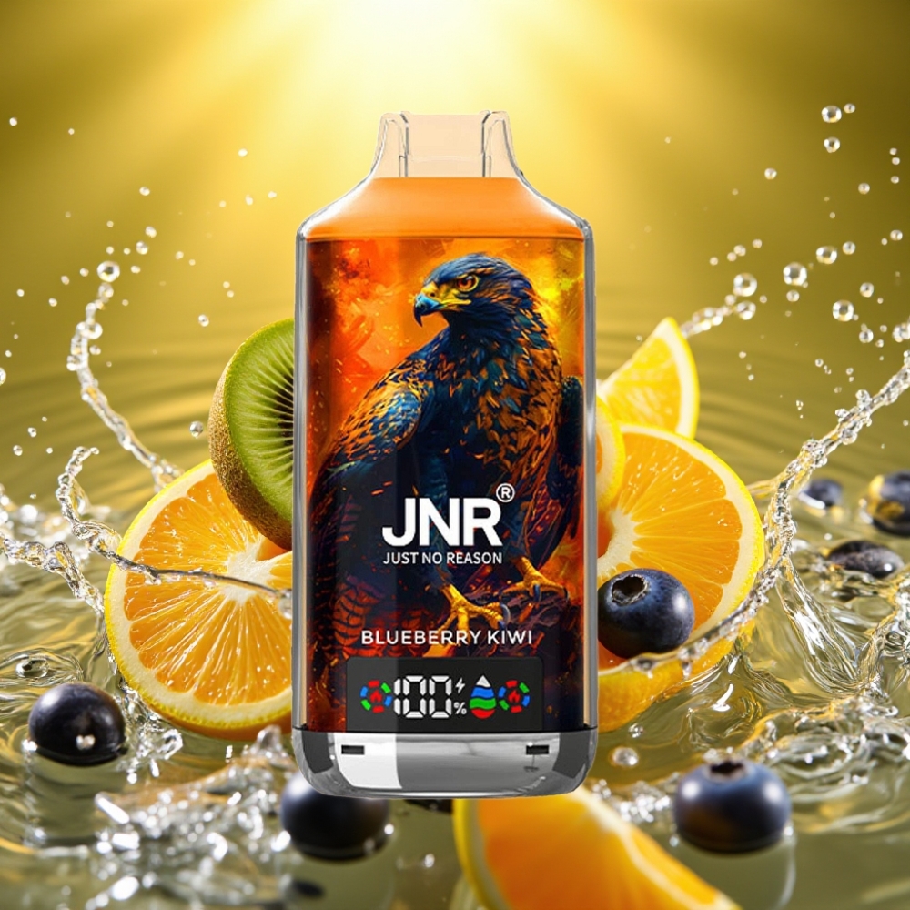 JNR Falcon X 18000 Puffs 750mAh 24ml Dual Mesh Coil Digital Display Type-C Mirtilo Kiwi