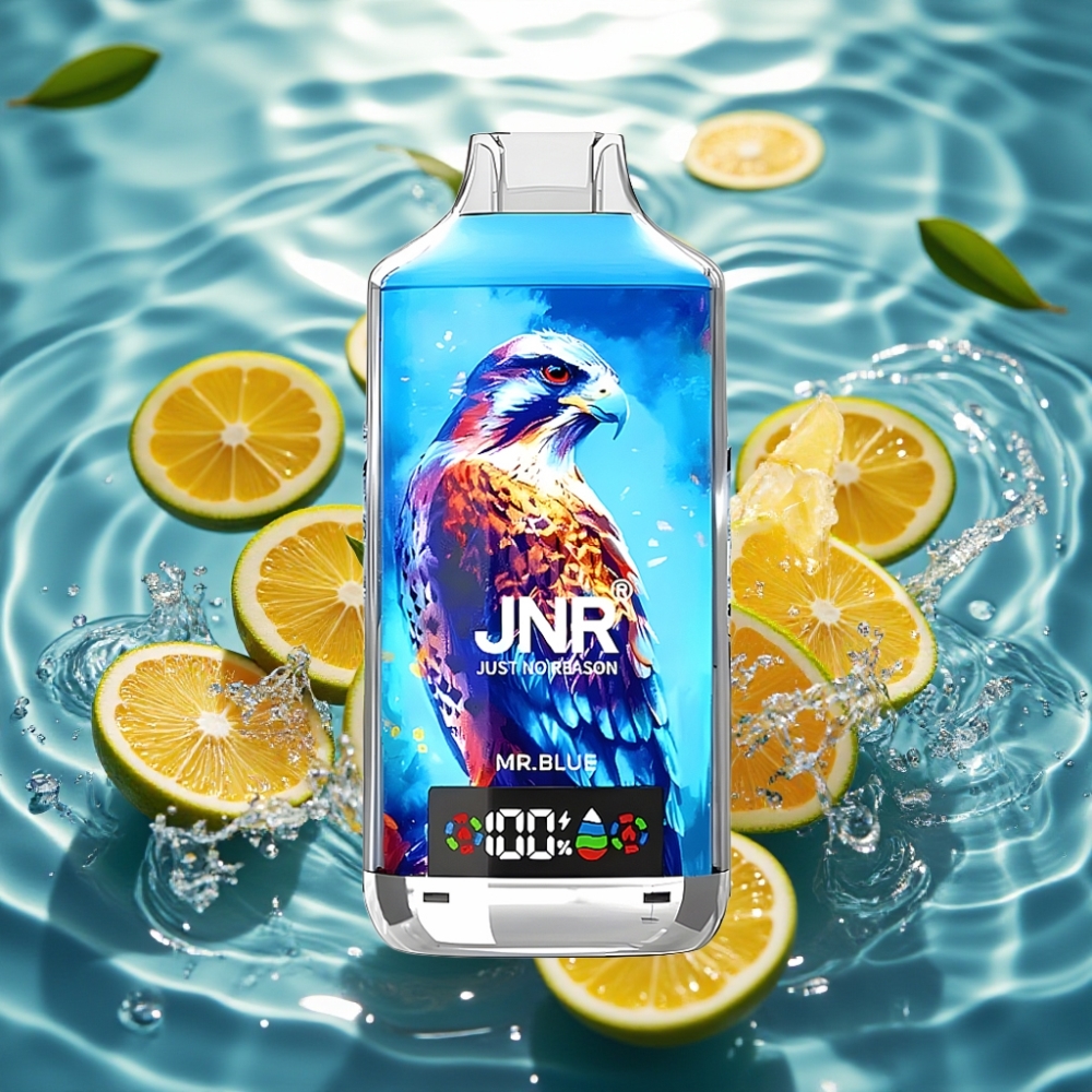 JNR Falcon X 18000 Puffs 750mAh 24ml Dual Mesh Coil Digital Display Type-C Mr. Azul