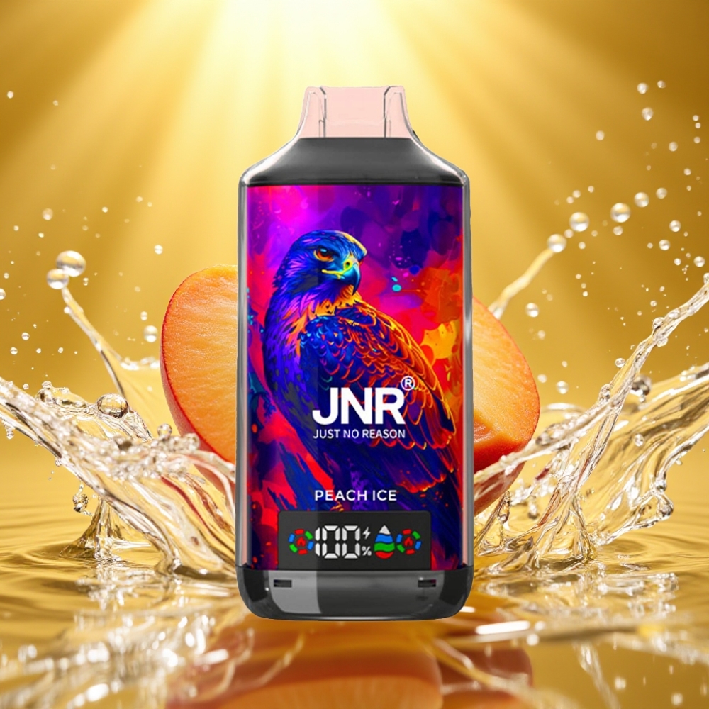 JNR Falcon X 18000 Puffs 750mAh 24ml Dual Mesh Coil Digital Display Type-C Pêssego Gelo