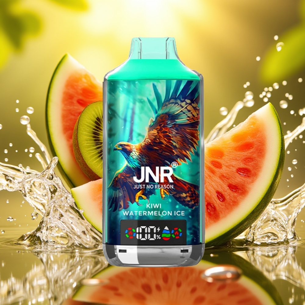 JNR Falcon X 18000 Puffs 750mAh 24ml Dual Mesh Coil Kiwi Melancia Gelo