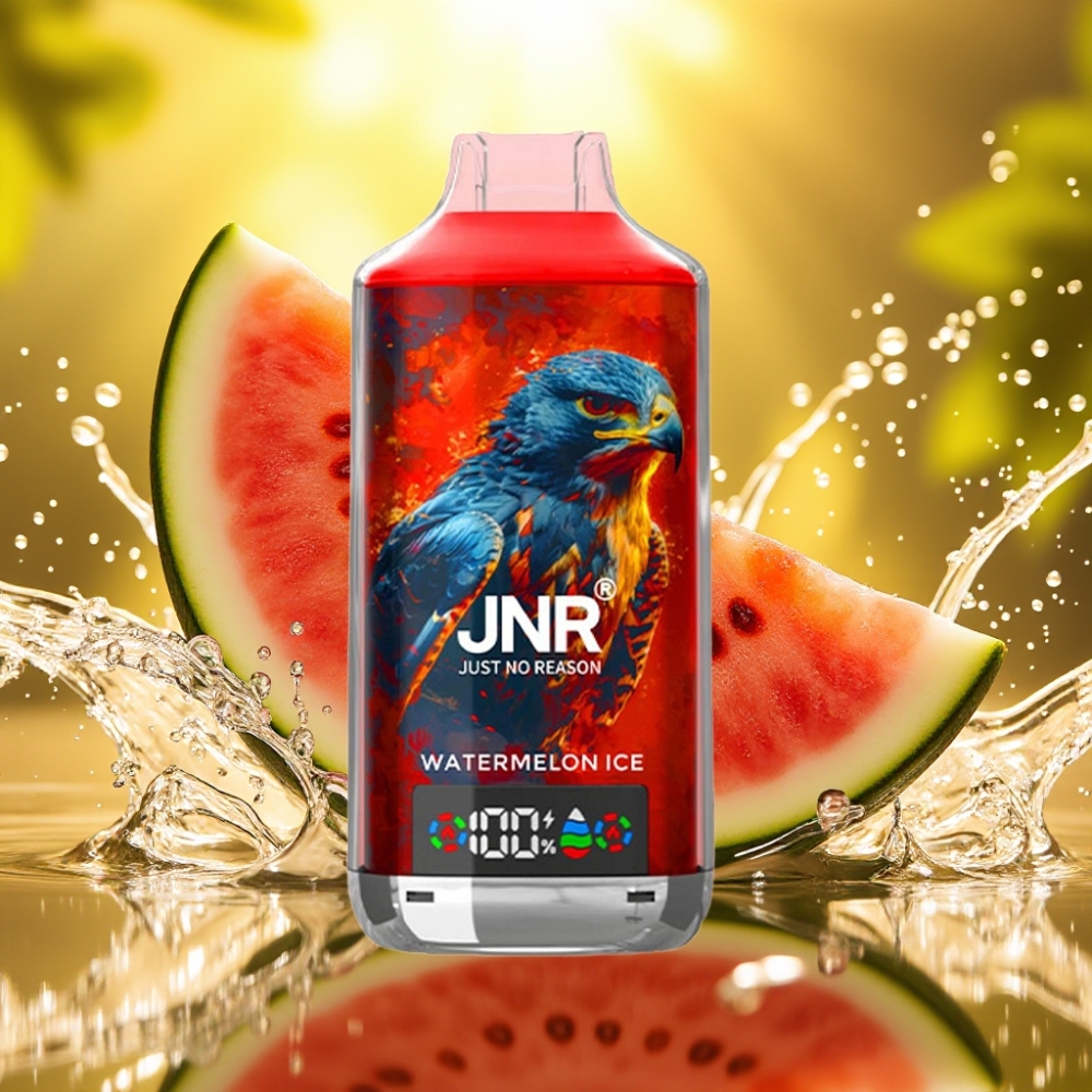 JNR Falcon X 18000 Puffs 750mAh 24ml Dual Mesh Coil Melancia Gelo