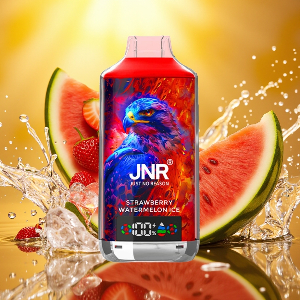 JNR Falcon X 18000 Puffs 750mAh 24ml Dual Mesh Coil Type-C Morango Melancia Gelo