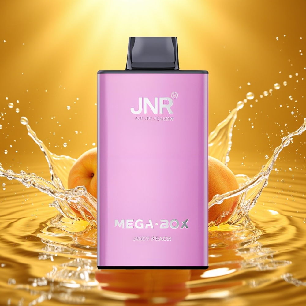 JNR Mega Box 25000 Puffs 30ml 850mAh Dual Mesh Disposable Vape Pêssego Suculento