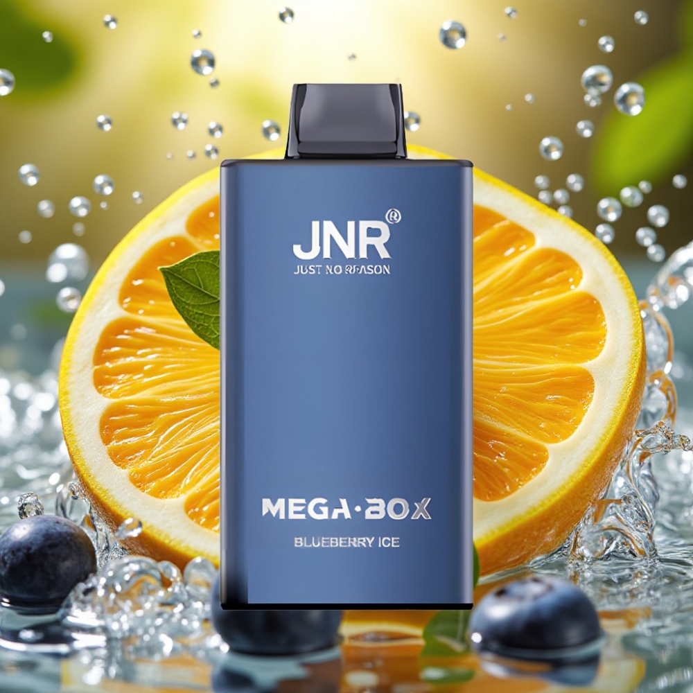 JNR Mega Box 25000 Puffs 30ml 850mAh Dual Mesh Type-C Mirtilo Gelo Disposable Vape
