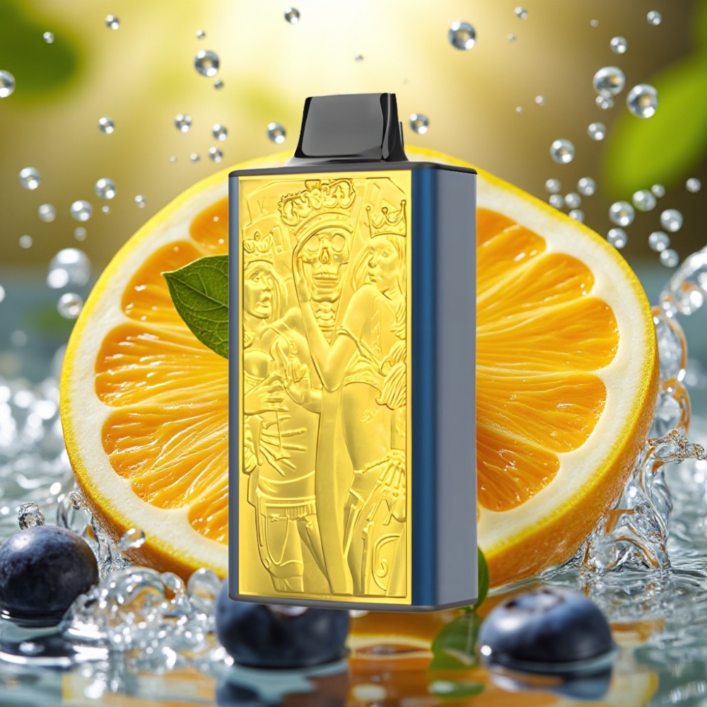 JNR Mega Box 25000 Puffs 30ml 850mAh Dual Mesh Type-C Mirtilo Gelo Disposable Vape