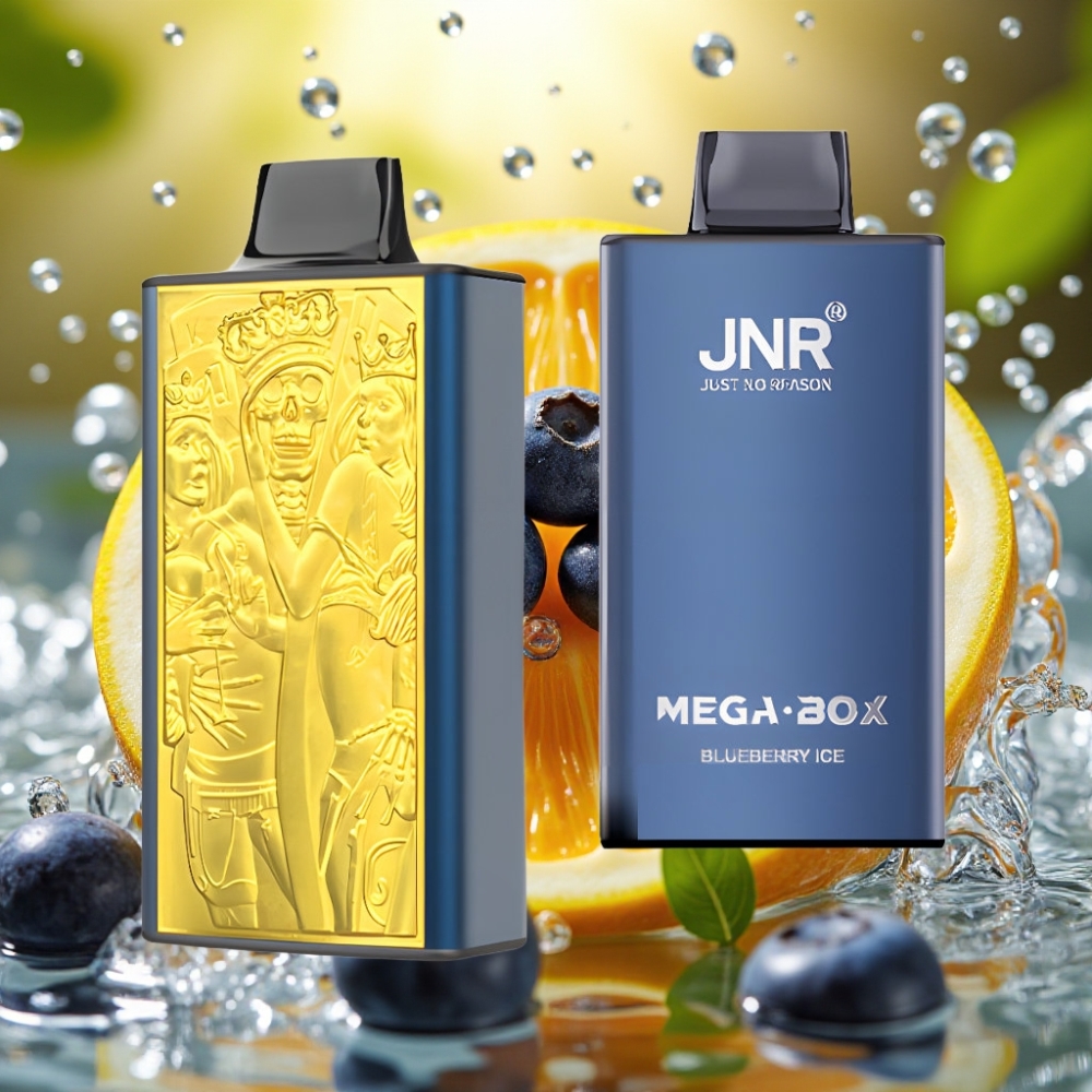 JNR Mega Box 25000 Puffs 30ml 850mAh Dual Mesh Type-C Mirtilo Gelo Disposable Vape