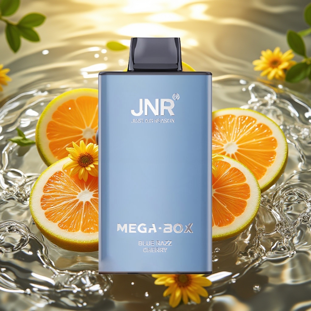 JNR Mega Box 25000 Puffs Disposable Vape 30ml 850mAh Dual Mesh Type-C Blueberry Framboesa Cereja