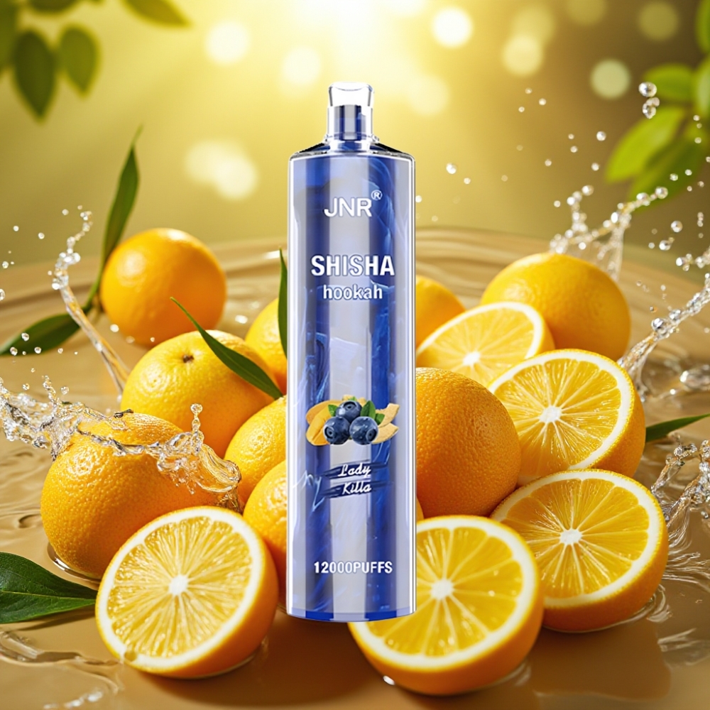 JNR Shisha Hookah 12000 Puffs 750mAh 24ml 0.6 Ohm Type-C Dama Assassina JNR Shisha Hookah 12000 Puffs 750mAh 24ml 0.6 Ohm Type-C Dama Assassina