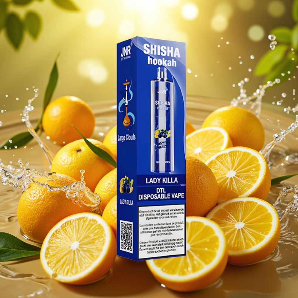 JNR Shisha Hookah 12000 Puffs 750mAh 24ml 0.6 Ohm Type-C Dama Assassina