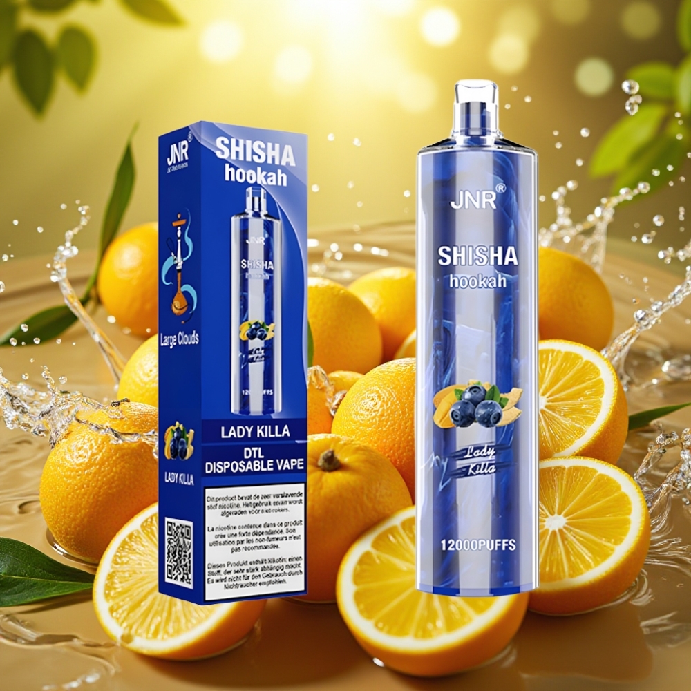 JNR Shisha Hookah 12000 Puffs 750mAh 24ml 0.6 Ohm Type-C Dama Assassina