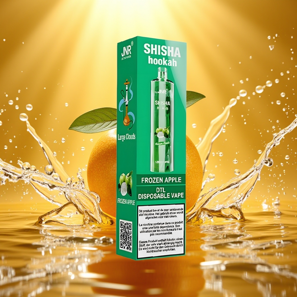 JNR Shisha Hookah 12000 Puffs 750mAh 24ml 0.6Ω Type-C Maçã Gelada