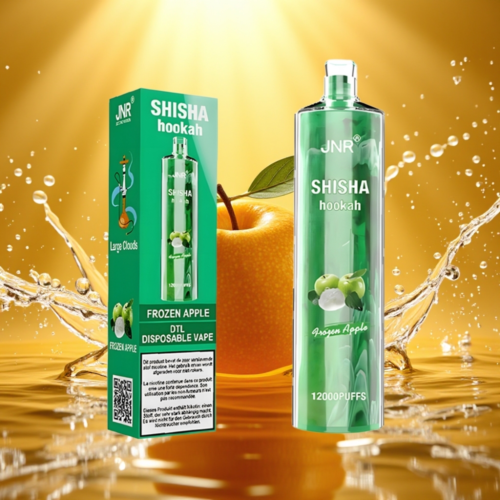 JNR Shisha Hookah 12000 Puffs 750mAh 24ml 0.6Ω Type-C Maçã Gelada