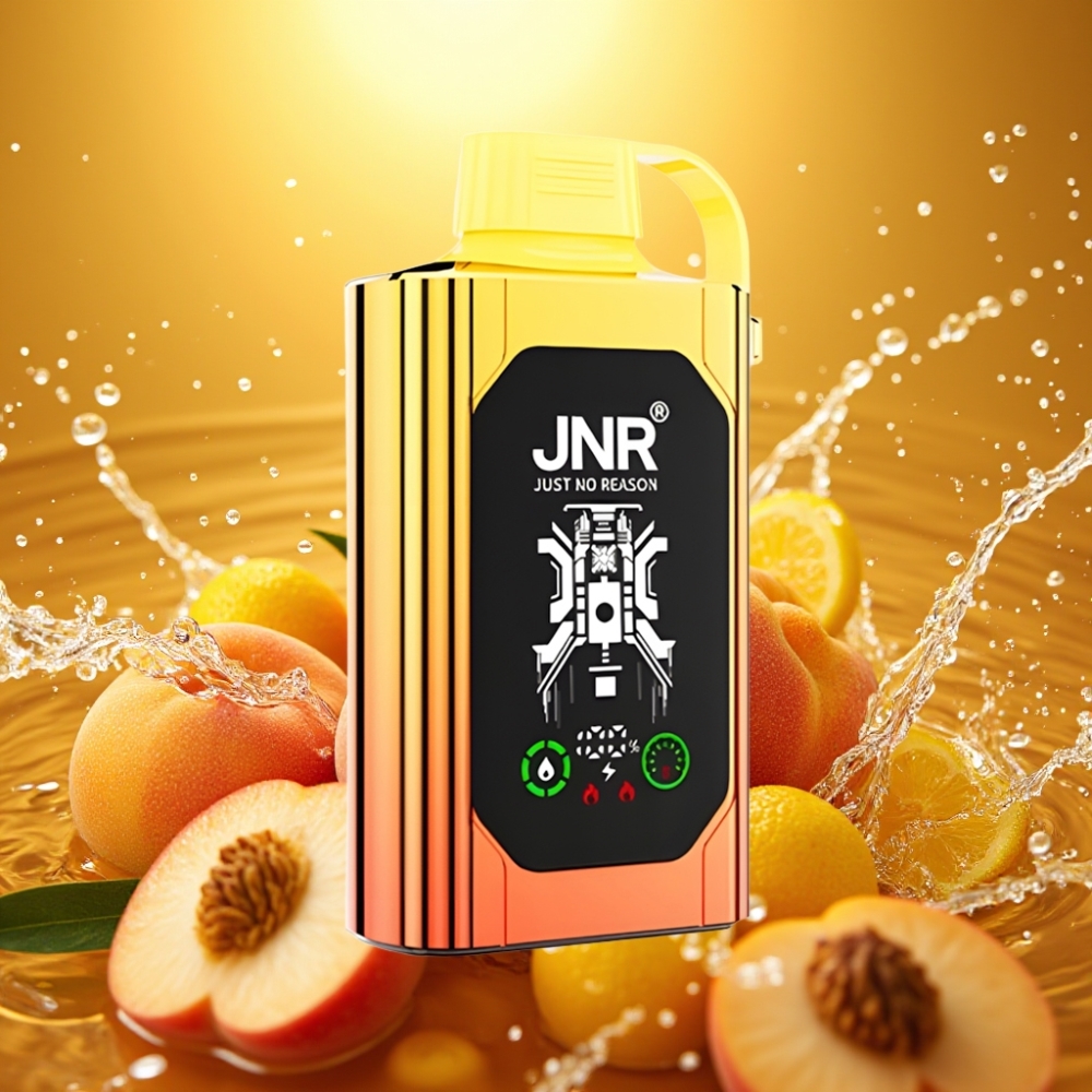 JNR Shisha Hookah Box 20500 Puffs Disposable Vape Pêssegos Suculentos HD Display 1000mAh 25ml Dual Mesh Coil Type-C 0%2%5% JNR Shisha Hookah Box 20500 Puffs Disposable Vape Pêssegos Suculentos HD Display 1000mAh 25ml Dual Mesh Coil Type-C 0%2%5%