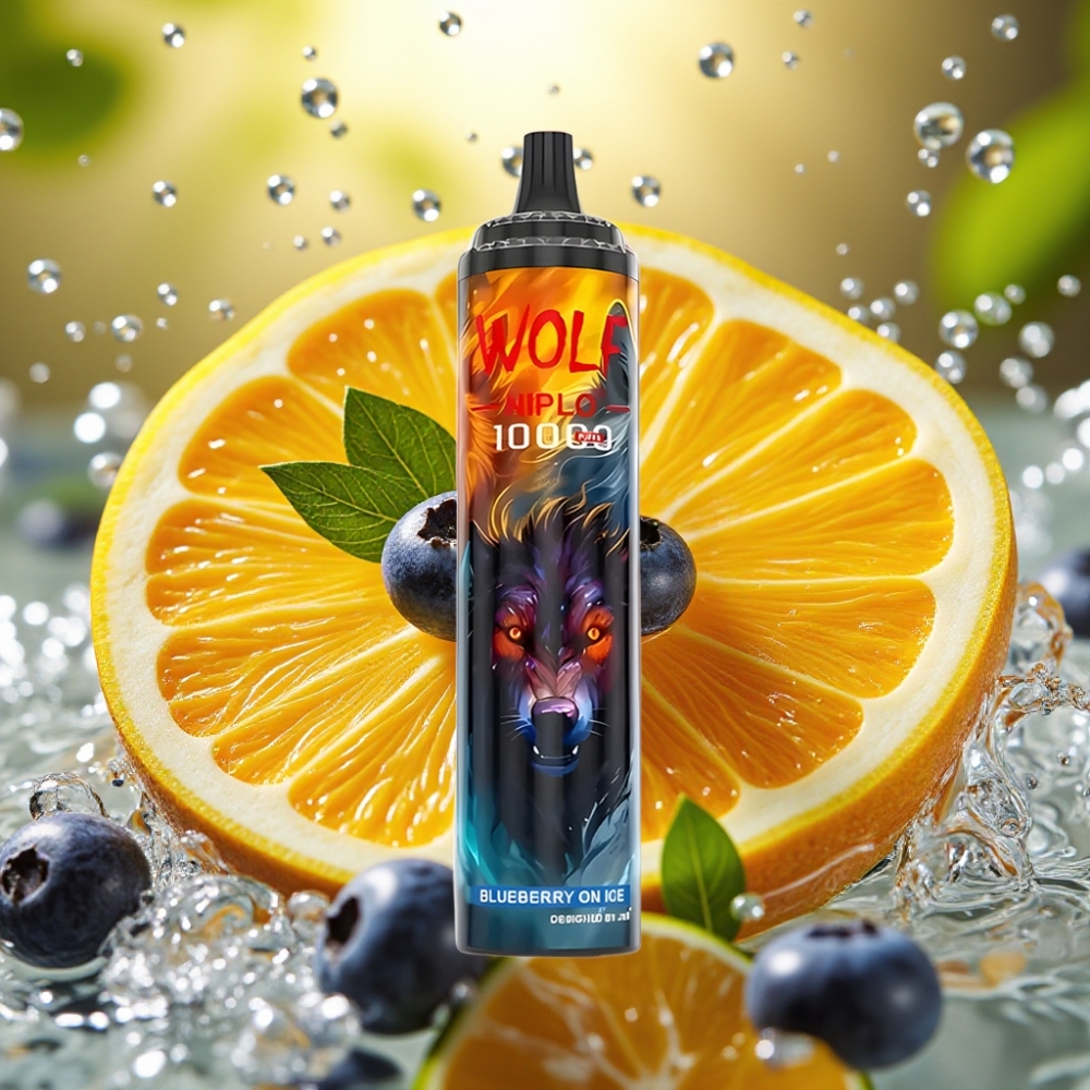 JNR Wolf Niplo 10000 Puffs Mesh 1.0 Ohm 650mAh Type-C Mirtilo Gelado