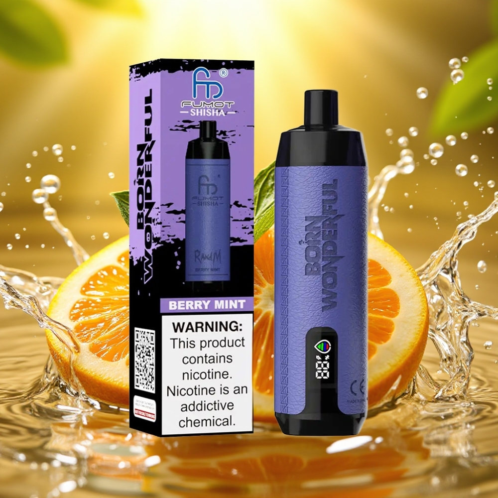 RandM Fumot Shisha 10000 Puffs 18ml 850mAh 0.6ohm Tipo-C Menta Silvestre