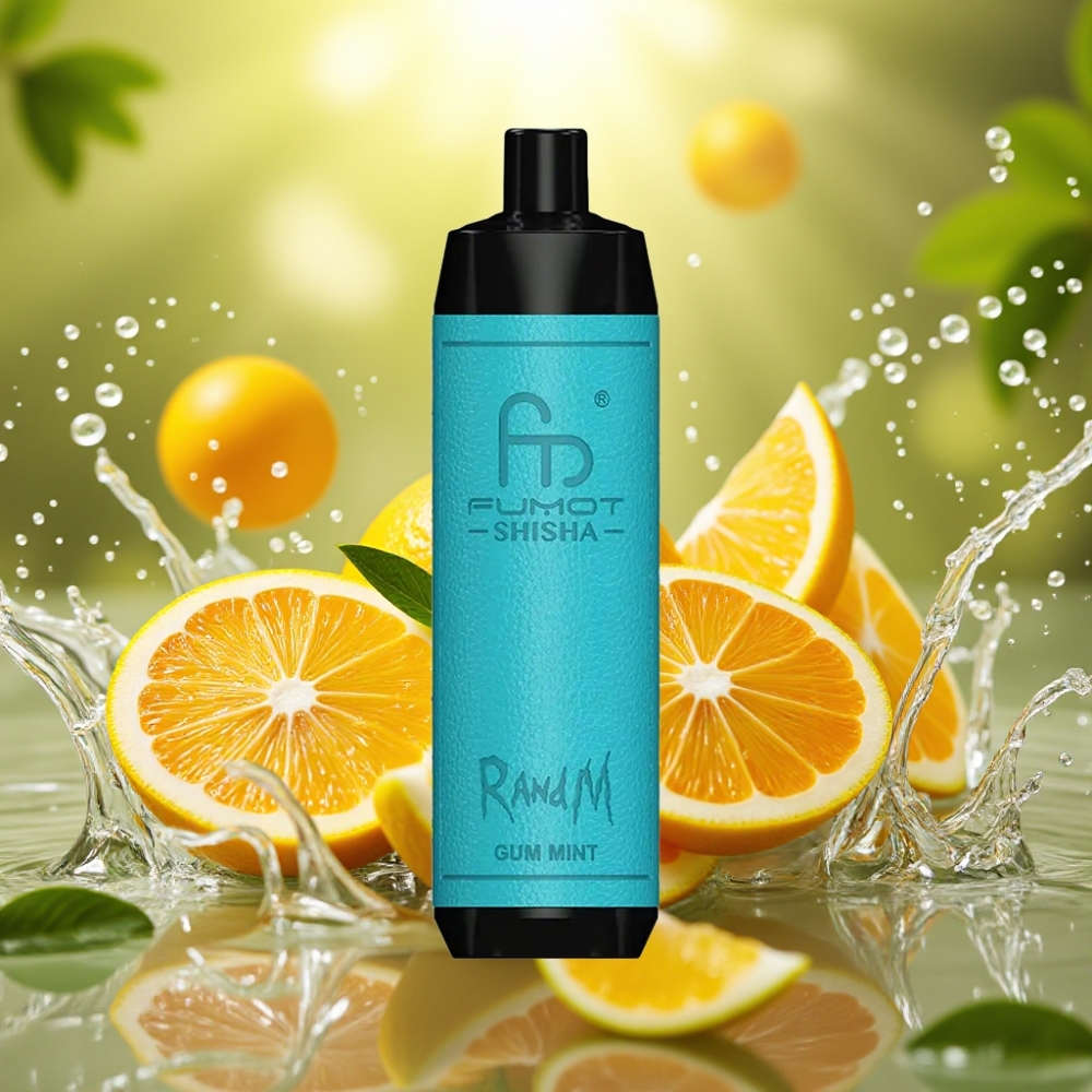 RandM Fumot Shisha 10000 Puffs LED 18ml 850mAh 0.6ohm Type-C 0.5% Nic Goma Hortelã