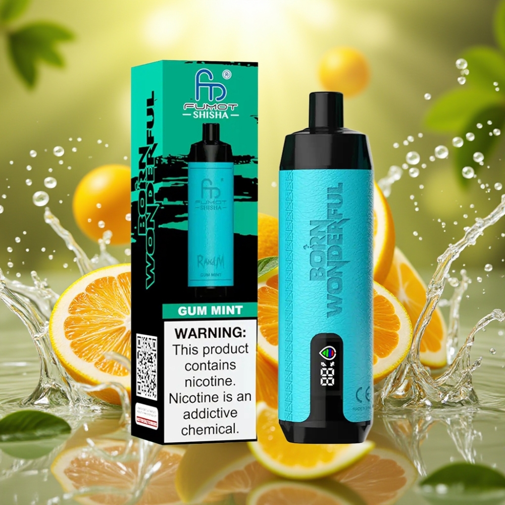 RandM Fumot Shisha 10000 Puffs LED 18ml 850mAh 0.6ohm Type-C 0.5% Nic Goma Hortelã