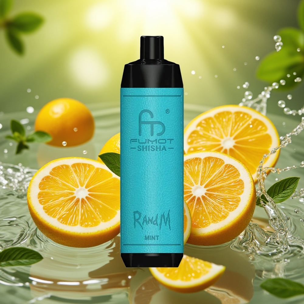 RandM Fumot Shisha 10000 Puffs LED 18ml Tipo-C 850mAh 0.6ohm Menta