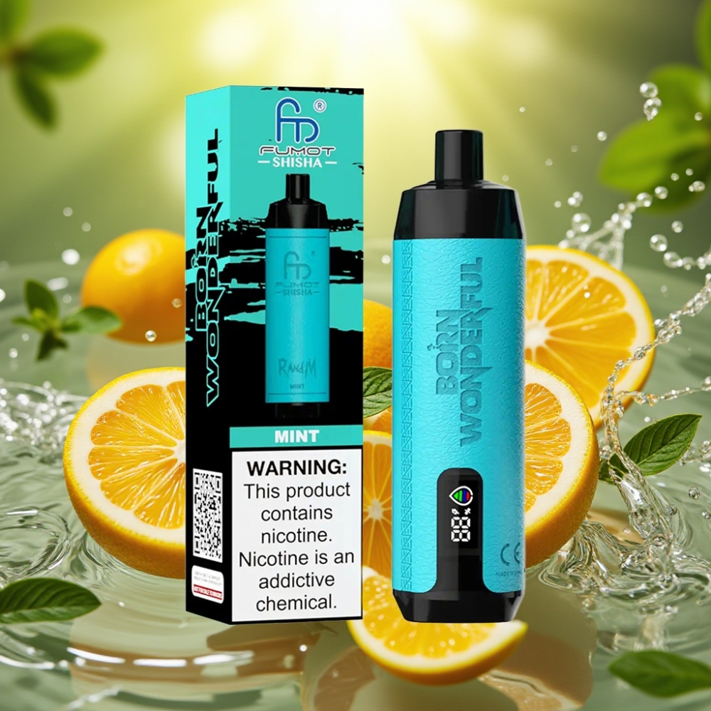 RandM Fumot Shisha 10000 Puffs LED 18ml Tipo-C 850mAh 0.6ohm Menta