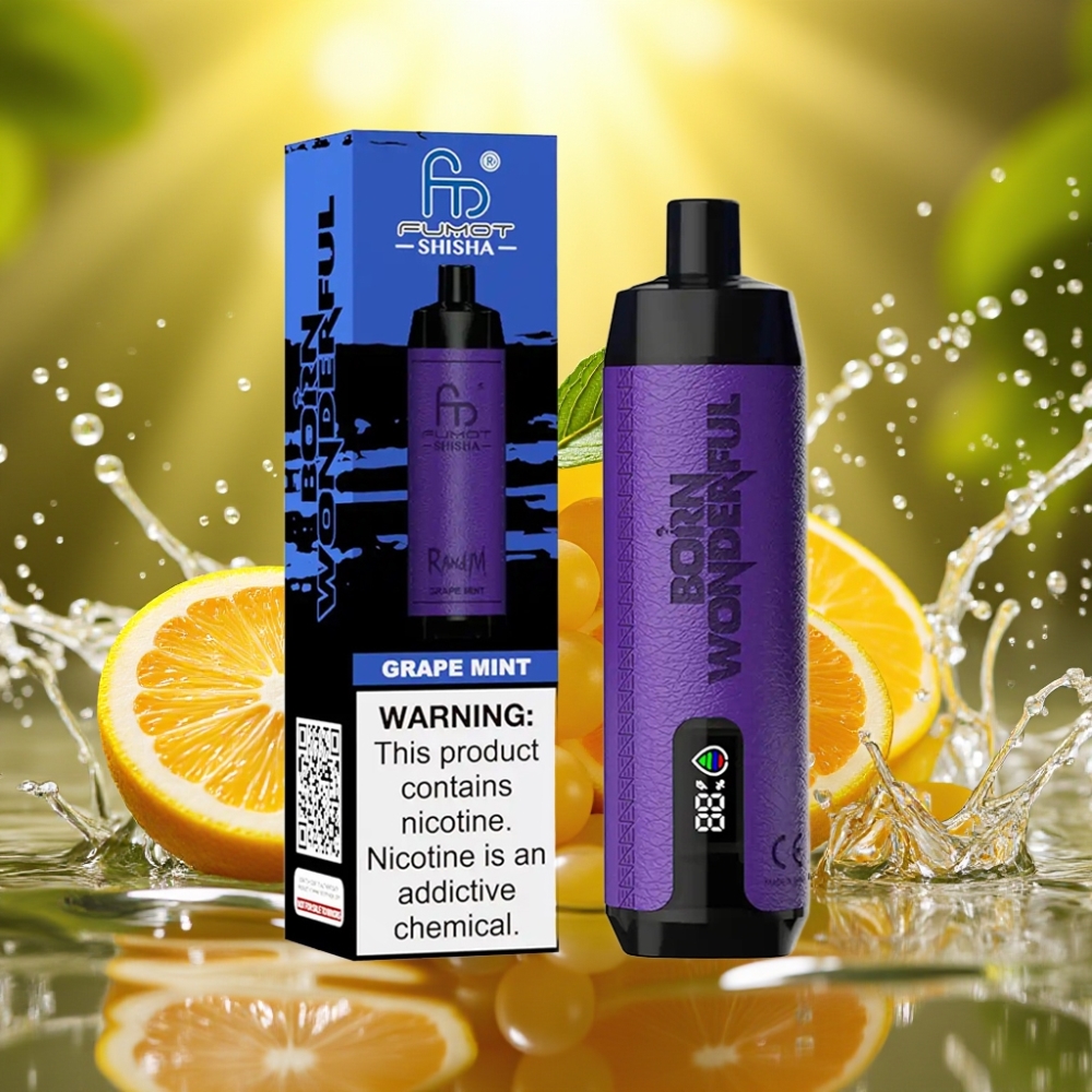 RandM Fumot Shisha 10000 Puffs LED 18ml Tipo-C Uva Hortelã 0.5% Nic