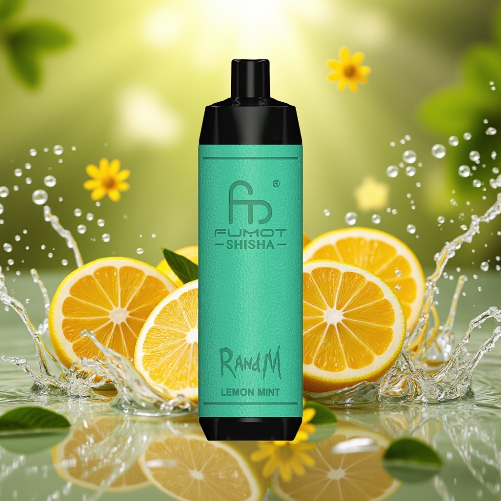 RandM Fumot Shisha 10000 Puffs LED Tipo-C 18ml 850mAh 0.6ohm 0.5% Nic Limão Menta