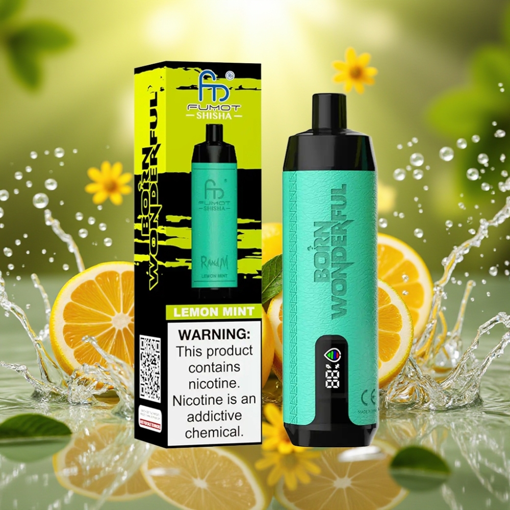 RandM Fumot Shisha 10000 Puffs LED Tipo-C 18ml 850mAh 0.6ohm 0.5% Nic Limão Menta