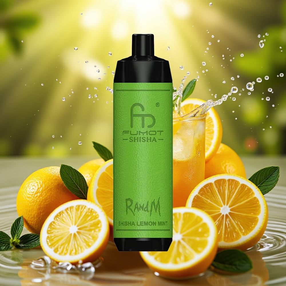 RandM Fumot Shisha 10000 Puffs LED Tipo-C 18ml 850mAh 0.6ohm Limão Hortelã Shisha