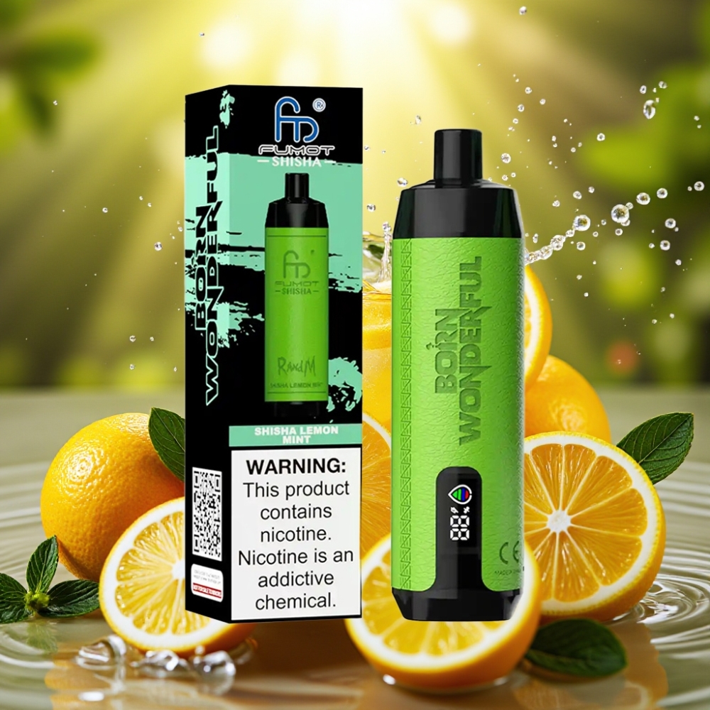 RandM Fumot Shisha 10000 Puffs LED Tipo-C 18ml 850mAh 0.6ohm Limão Hortelã Shisha